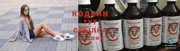 амф Арсеньев