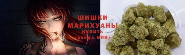 амф Арсеньев
