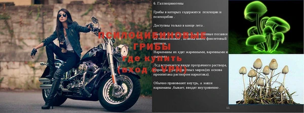 ешки Аркадак