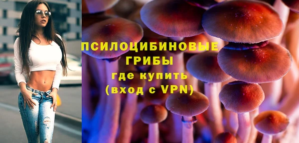 шишки Алексин